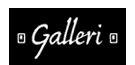 thegalleri.com